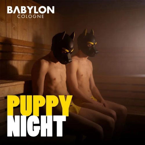 Puppy Night