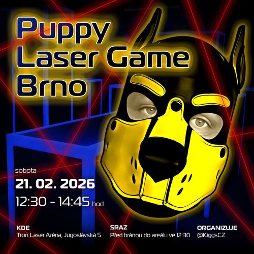 Puppy Laser game Brno
