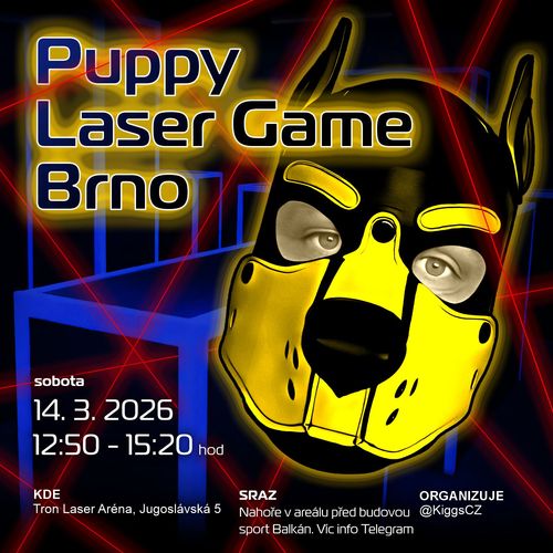 Puppy Laser game Brno