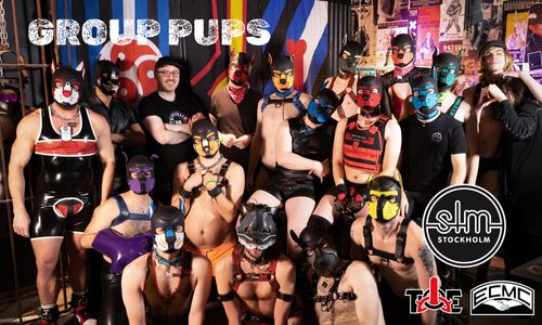 Group PUPS - 🇸🇪 National Day 