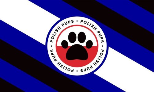 Warsaw Pups Meet at Instytut Bar