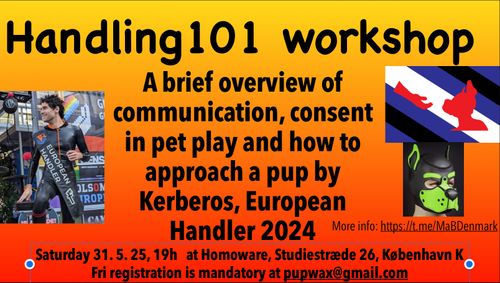 Workshop Handling101