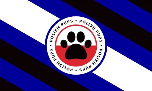 Poznan Puppy Social