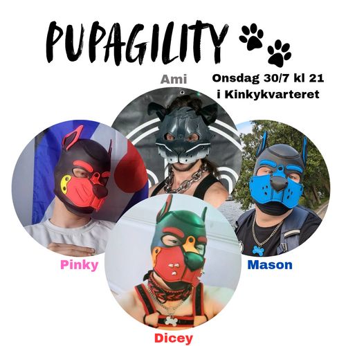 Pupagility Sthlm pride 