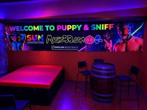 Opening Sun Construction  with Puppy Aerea
