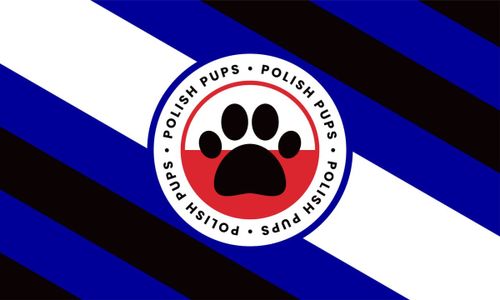Warsaw Pups Meet at Instytut Bar