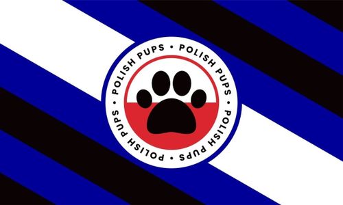 Poznan Puppy Social