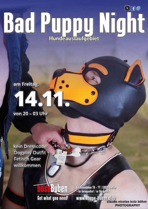 BAD PUPPY NIGHT