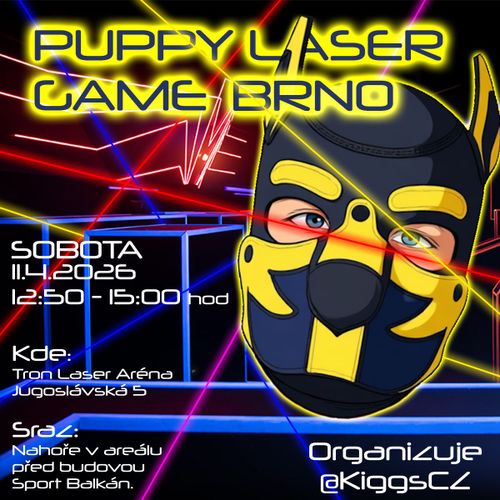 Puppy Laser game Brno
