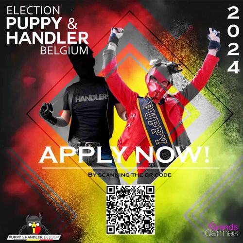 Puppy & handler Belgium Election 2024 