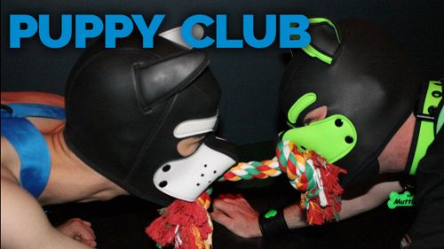 SLM Aarhus Puppy Club