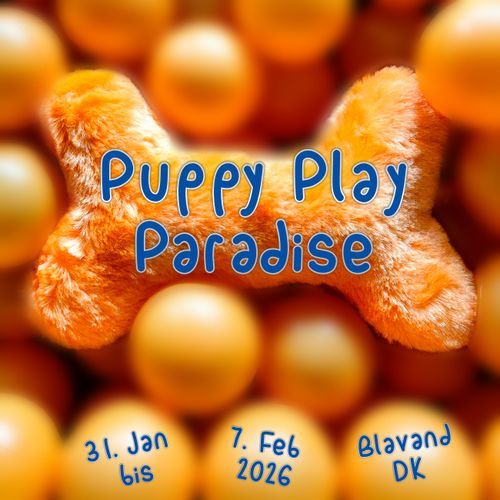 Puppy Play Paradise